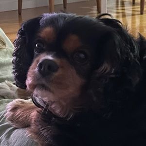 Meet your Posher, Jane